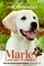 Marley Movie Tie-in Edition: A Dog Like No Other