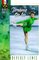 Dreams on Ice (Girls Only!, Bk 1)