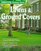 Southern Living Garden Guide: Lawns & Ground Covers (Southern Living Garden Guides)