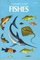 Fishes: A Guide to Fresh and Salt Water Species (Golden Guides)