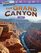 Travel Adventures: The Grand Canyon: Data (Mathematics Readers)