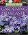 Month-by-Month Gardening in the Mid-Atlantic : What To Do Each Month To Have a Beautiful Garden All Year (Month-By-Month Gardening (Cool Springs Press))