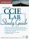 All-In-One Cisco CCIE Lab Study Guide