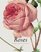 The Roses: Pierre-Joseph Redoute, 1759-1840 (Jumbo)