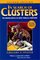 In Search of Clusters (2nd Edition)