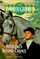 Sterling's Second Chance (Thoroughbred, Bk 26)