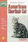 The Guide to Owning an American Shorthair Cat (The Guide to Owning)