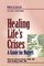 Healing Life's Crises: A Guide for Nurses: Nurse as Healer Series (Nurse As Healer)