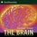 The Brain: Our Nervous System