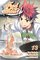 Food Wars!, Vol. 13: Shokugeki no Soma