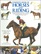 Complete book of horses and riding: A practical training course on how to ride, with step-by-step photographs and a complete encyclopedia of horse breeds