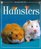 Hamsters (1st Pets Series)