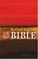 The Revised English Bible (Bible Reb)