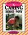 Young Rider's Guide to Caring for a Horse or Pony (Young Rider's Guides)