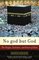No god but God : The Origins, Evolution, and Future of Islam