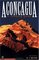 Aconcagua: A Climbing Guide, Second Edition