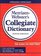 Merriam-Webster's Collegiate Dictionary (Merriam Webster's Collegiate Dictionary)