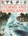 Storms and Hurricanes (Usborne Understanding Geography)