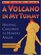 A Volcano in My Tummy: Helping Children to Handle Anger : A Resource Book for Parents, Caregivers and Teachers