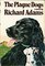 The Plague Dogs (G K Hall Large Print Perennial Bestseller Collection)