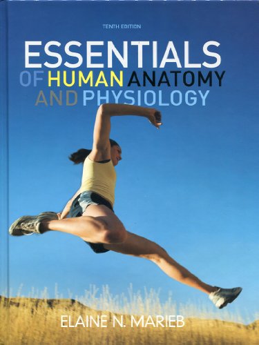 Essentials Of Human Anatomy And Physiology, Elaine N. Marieb ...