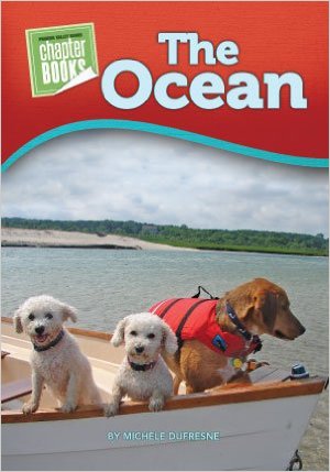 The Ocean Bella and Rosie Michele Dufresne. Paperback 1584533528