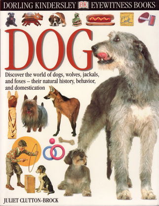 DOG Dorling Kindersley Eyewitness Books, Juliet Clutton-Brock