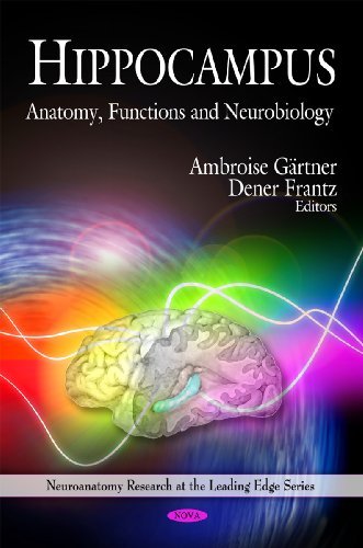 Hippocampus Anatomy Functions And Neurobiology Neuroanatomy Research At The Leading Edge