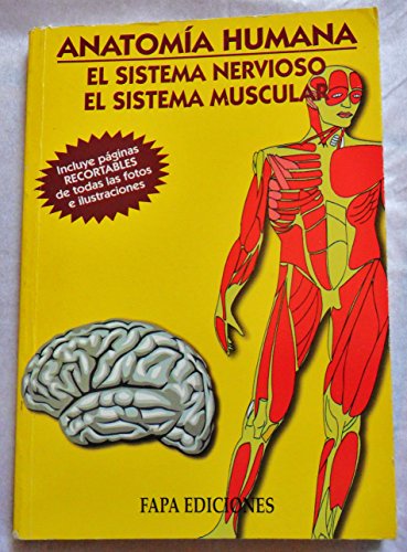 Anatomia Humana El Sistema Nervioso El Sistema Muscular Biblioteca de ...